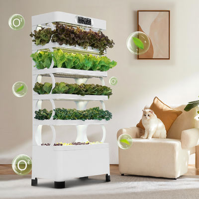 Гидропоническая система Veggiefloe для школ: практическое обучение и здоровое питание для детей